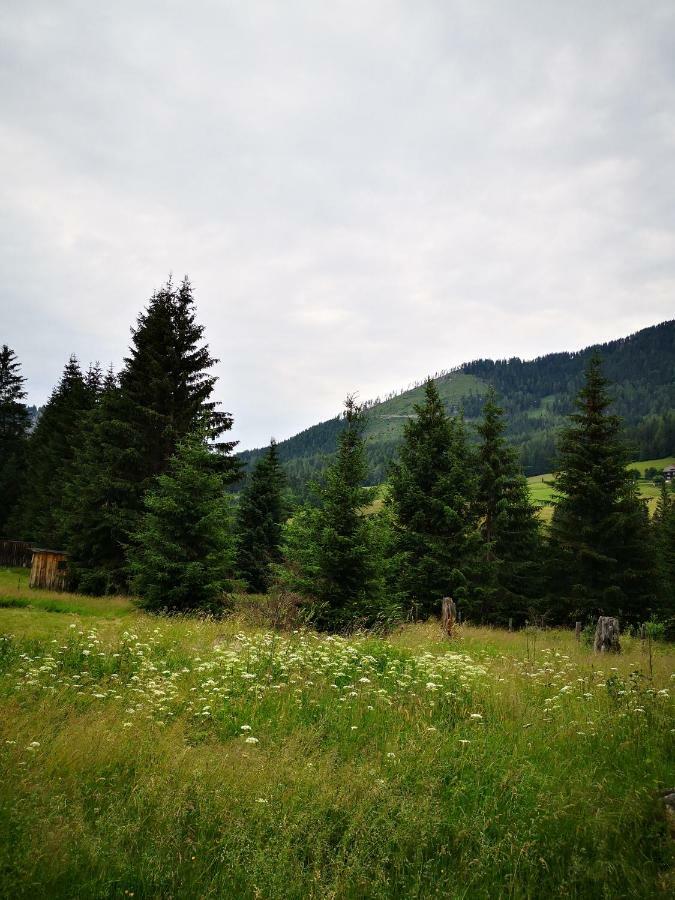Grassegger Appartementhaus Sankt Johann am Tauern Exterior foto